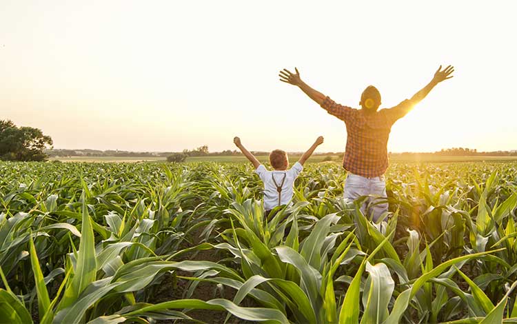 Man and child with hands up in the air stood in crop fields
