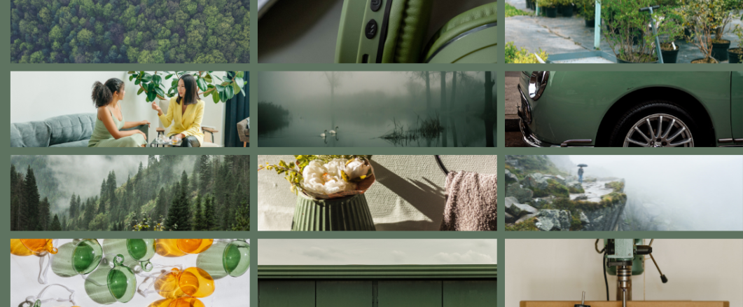 Embracing nature’s color palette with 2024 Color of the Year ‘Foggy Forest’